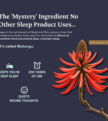 Herbal Sleep Tea | Blissful Night